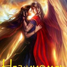 «Незнакомец моей мечты» Ольга Рыжая