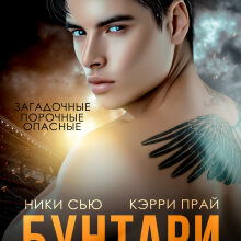 «Бунтари элитной академии» Ники Сью, Кэрри Прай